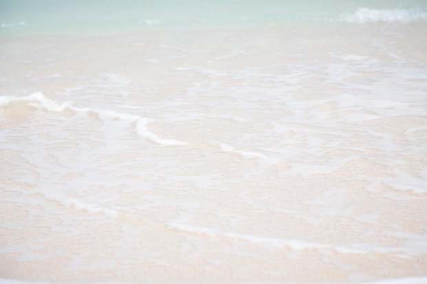 _shared_img_thumb_377955c57b2e7da8f3ca51e6134aeb4408a7595d_TP_V