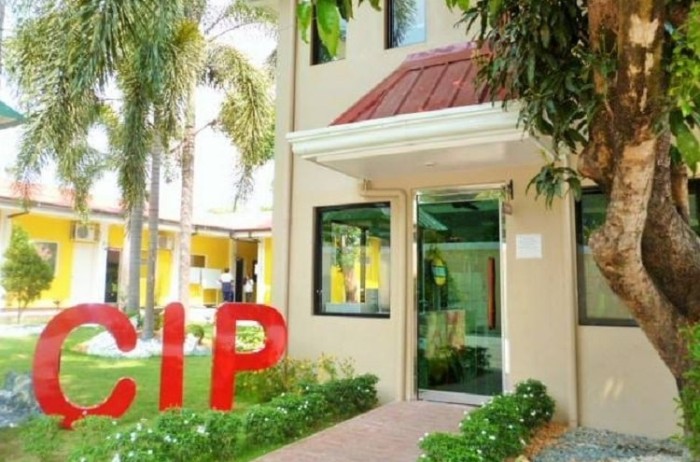 CIP OFFICE-min