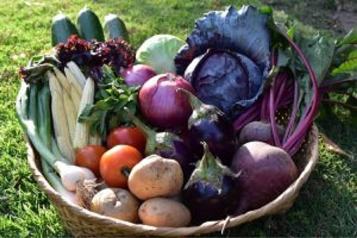 IMG_0995-300x200-min